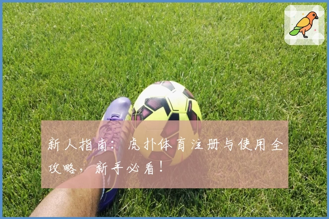 新人指南：虎扑体育注册与使用全攻略，新手必看！