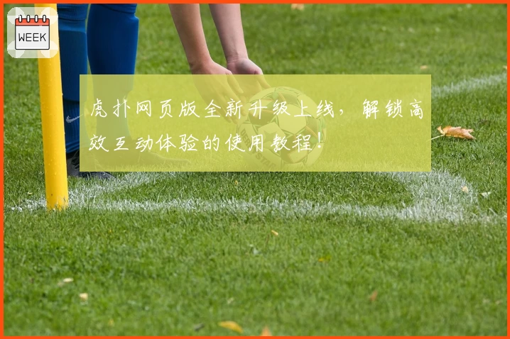 虎扑网页版全新升级上线，解锁高效互动体验的使用教程！