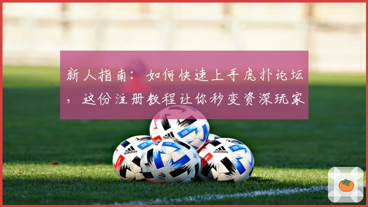 新人指南：如何快速上手虎扑论坛，这份注册教程让你秒变资深玩家