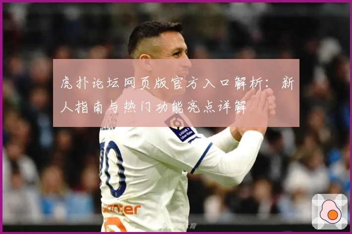 虎扑论坛网页版官方入口解析：新人指南与热门功能亮点详解